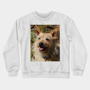 Doggie Smile Crewneck Sweatshirt